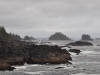 dsc_0240-medium