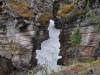 dsc_0890-medium