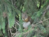 dsc_1042-medium