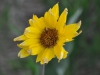 dsc_1158-medium