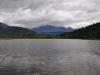 dsc_1206-medium