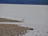 dsc_1291-medium