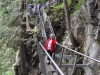 dsc_1320-medium