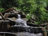 dsc_1321-medium
