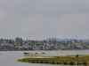 dsc_0322-medium