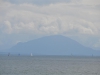 dsc_0343-medium