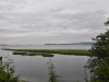 dsc_0204-medium